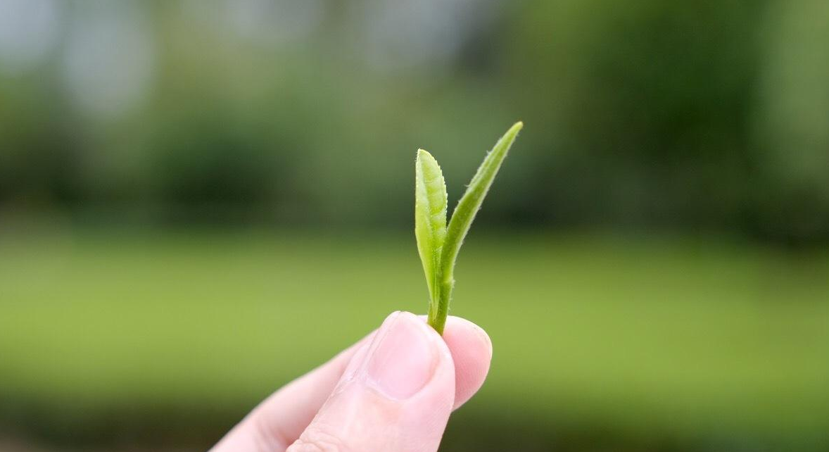 1589203566(1).png 1589203566(1).png